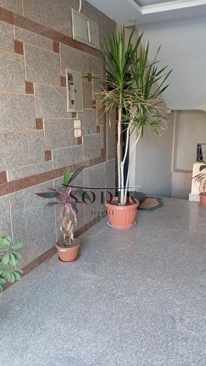 18 WhatsApp Image 2026-02-01 at 11.29. 37 AM. jpeg