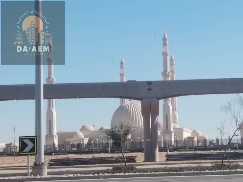 IMG_20240107_124358. jpg IMG_20240107_124358. jpg