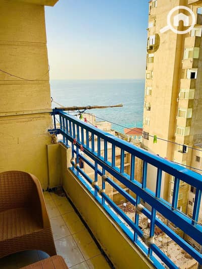 2 Bedroom Flat for Rent in Miami, Alexandria - WhatsApp Image 2026-01-31 at 15.16. 18. jpeg