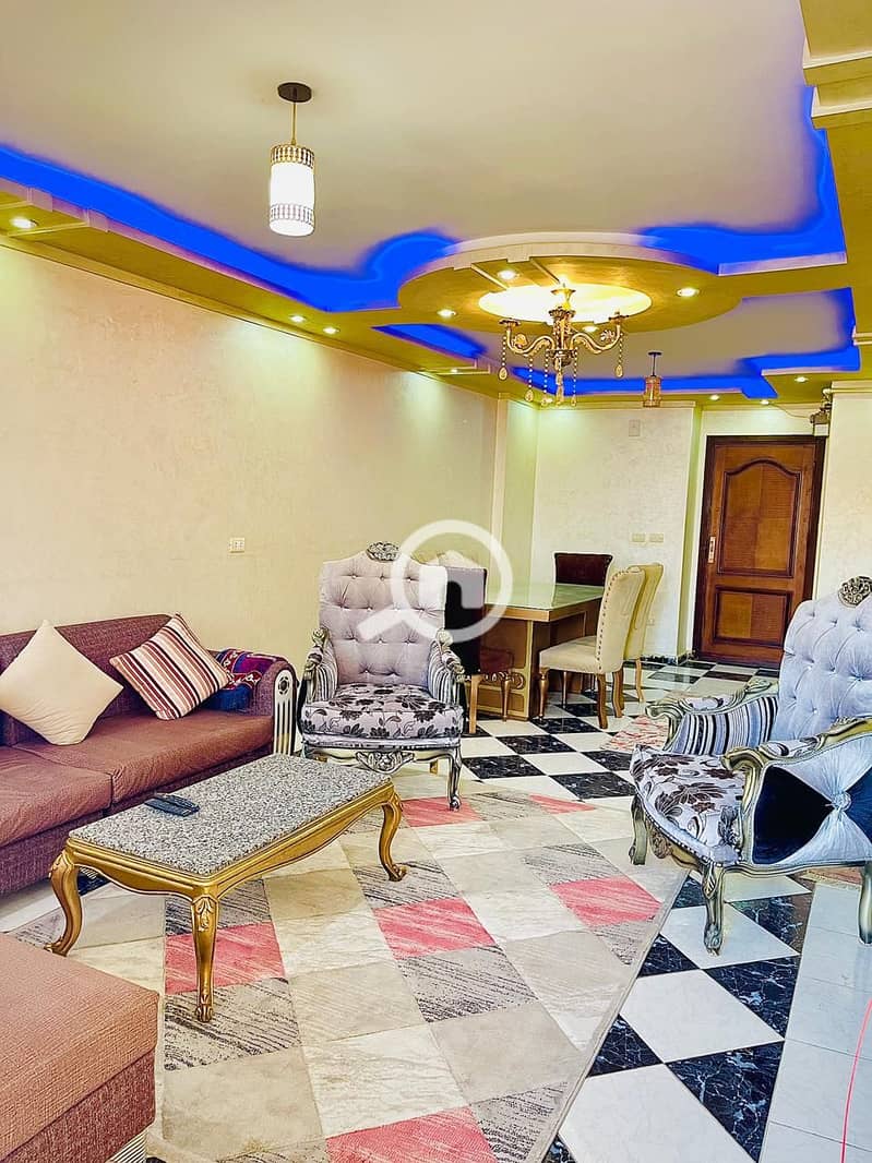 3 WhatsApp Image 2026-01-31 at 15.16. 13 (1). jpeg