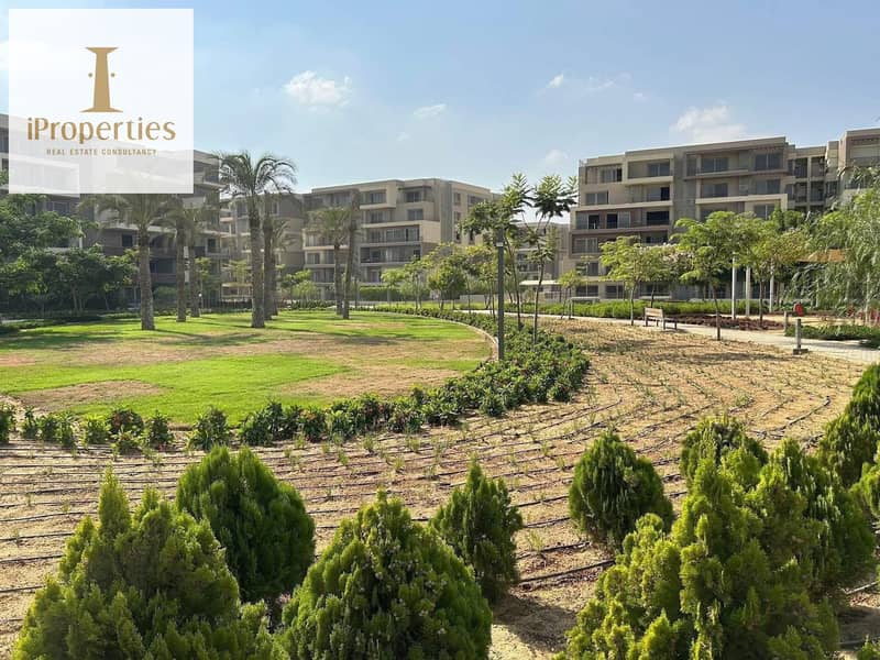 6 615487042_25553528754303264_8619580499404192601_n. jpg