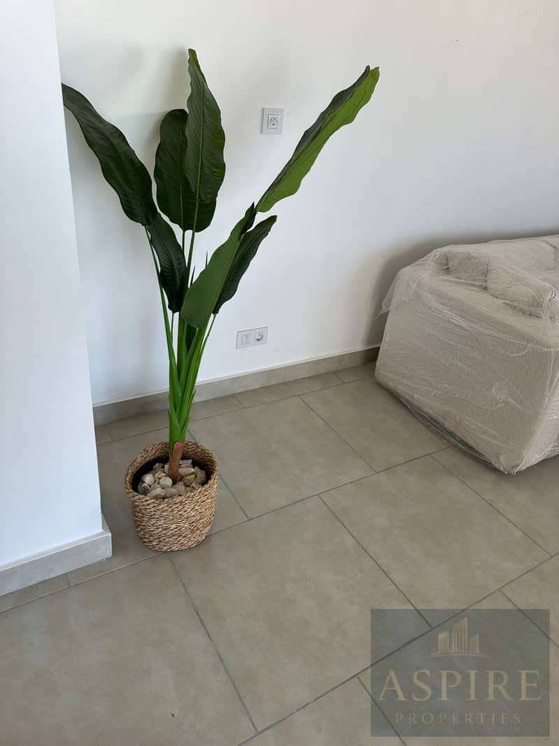 5 WhatsApp Image 2026-01-10 at 3.31. 21 PM (1). jpeg