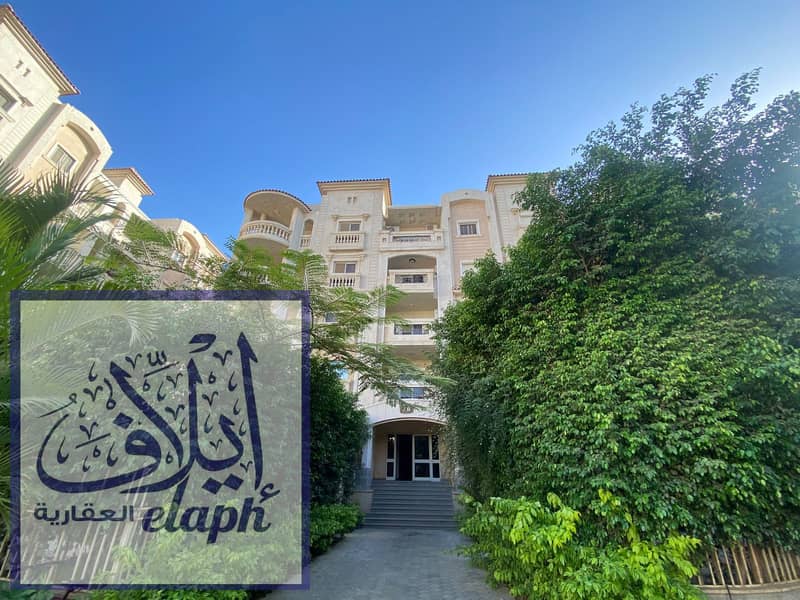 2 WhatsApp Image 2026-02-01 at 2.07. 46 PM (3). jpeg