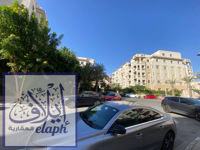 7 WhatsApp Image 2026-02-01 at 2.07. 46 PM (4). jpeg