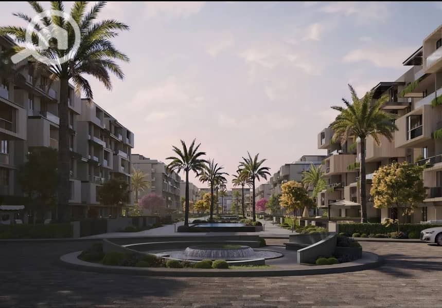 3 photo_8_2026-01-28_15-37-36. jpg