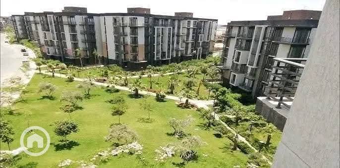 9 FB_IMG_1762159510902. jpg