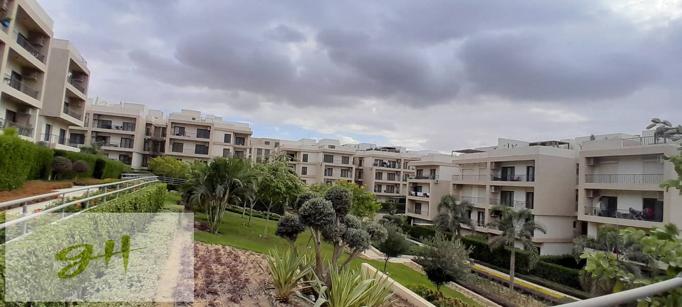 2 20251229_143001. jpg