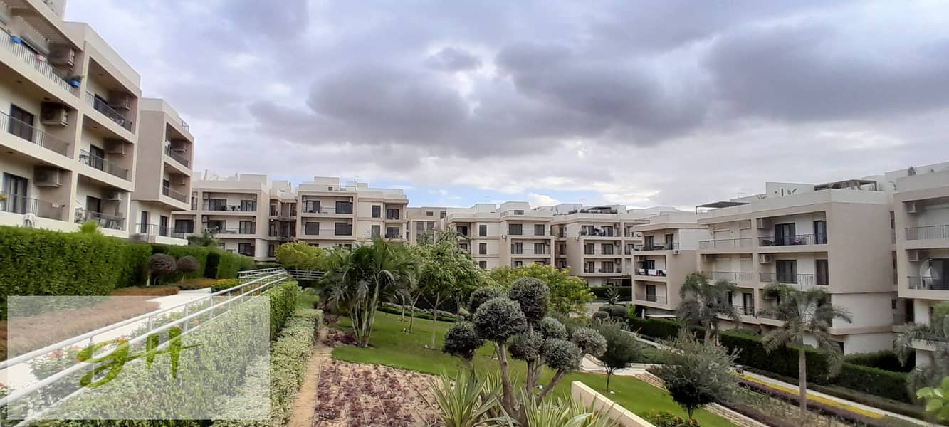 9 20251229_142956. jpg