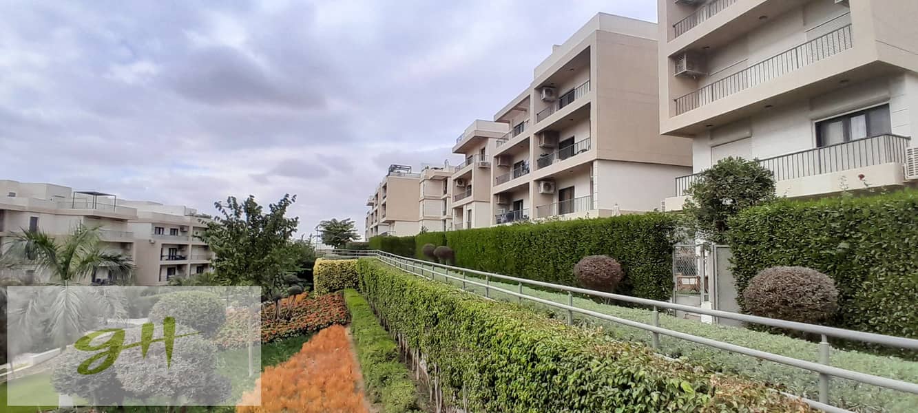 10 20251229_143024. jpg