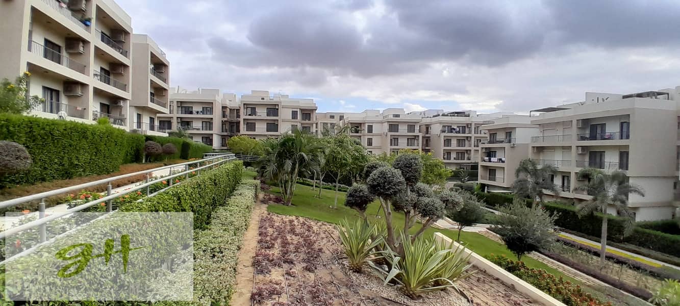 11 20251229_142952. jpg