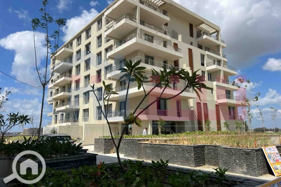 11 WhatsApp Image 2025-08-24 at 13.39. 11_616dfc4c. jpg