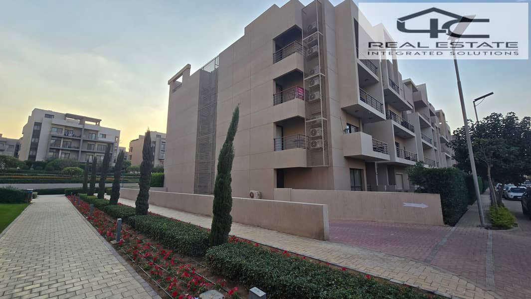 9 20251117_161813. jpg