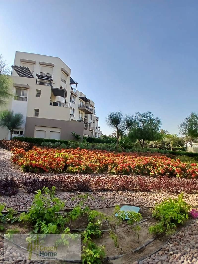 5 1ffebb40-c05c-4ca9-88aa-9ec1d18b3c38. jpg