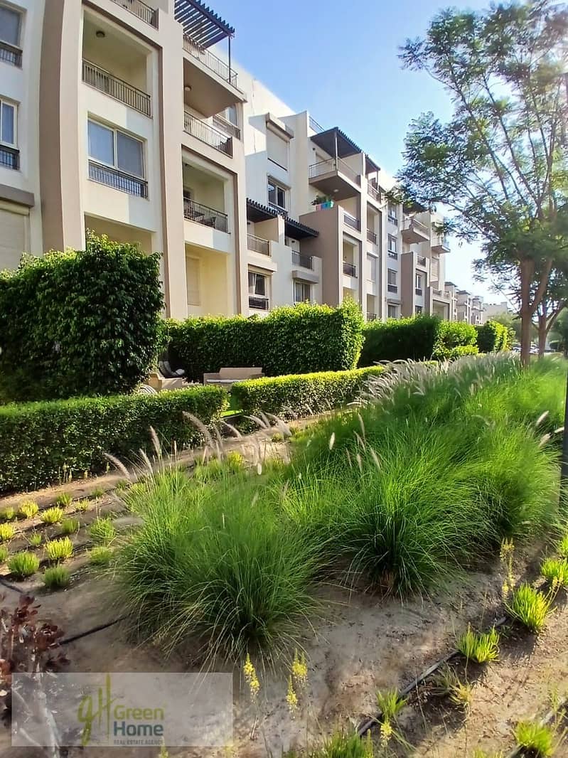 11 845ef6d8-d3c8-43f0-ab43-917ec1f59a69. jpg