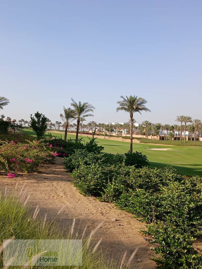 5 7e23924c-c51f-4cf3-bd63-af20d9d8e1d7. jpg