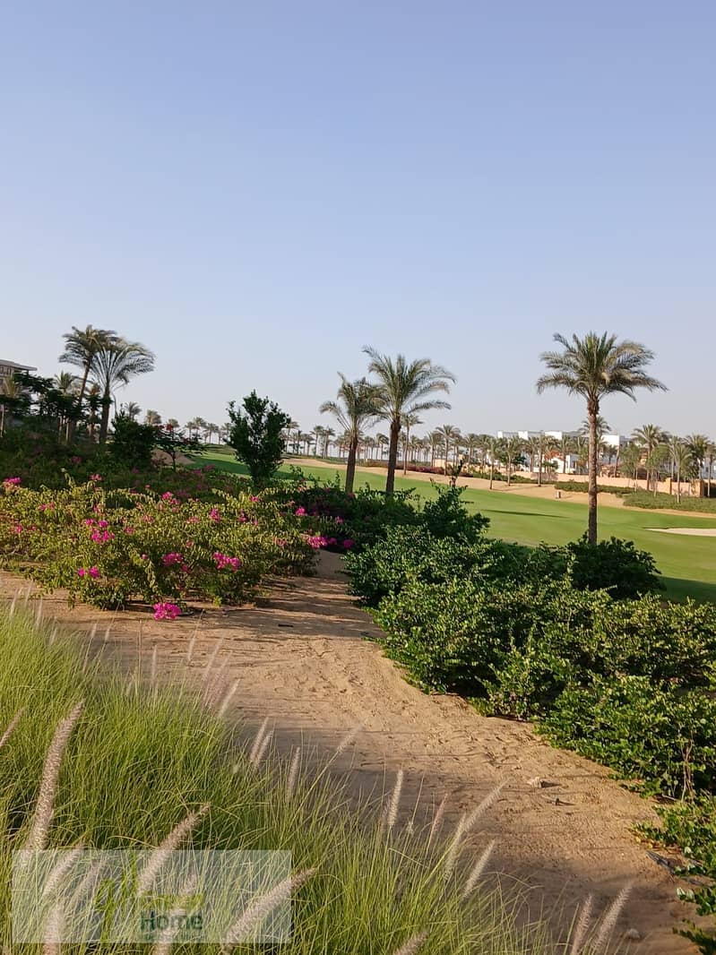 6 9b913fb6-64d1-4567-bde3-52395f28a55a. jpg