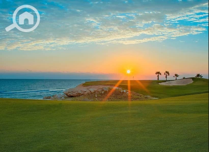 3 c10320b4-8b19-480a-841a-c1504930b5f2. jpeg