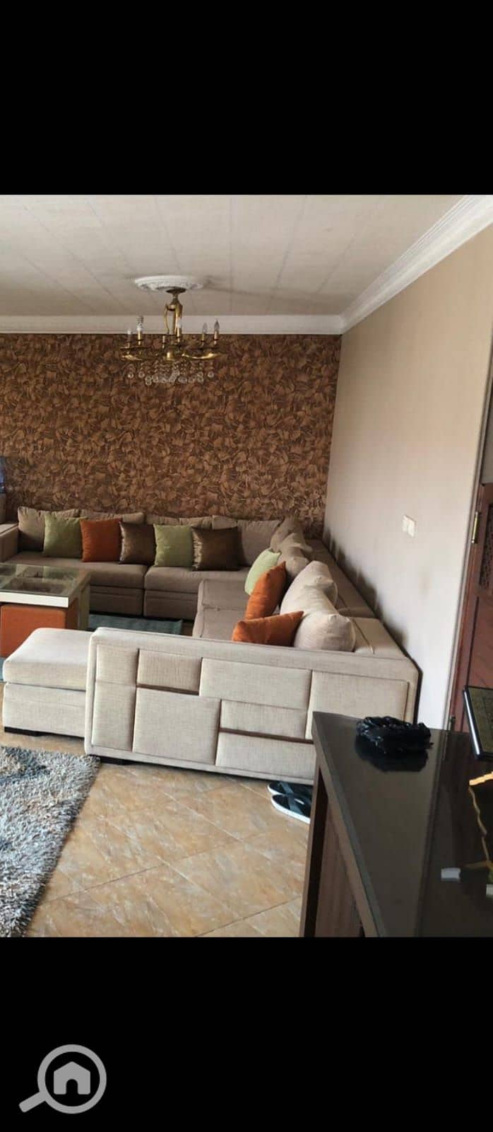 3 0d9127d4-1573-411f-8674-9b6f5d3408b7. jpeg