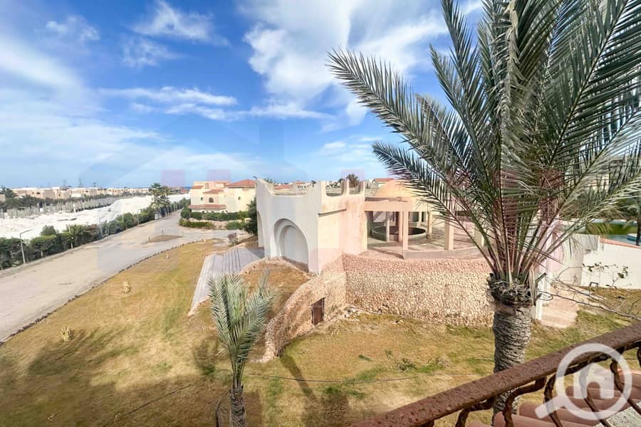 12 WhatsApp Image 2026-01-31 at 12.16. 05 PM. jpg