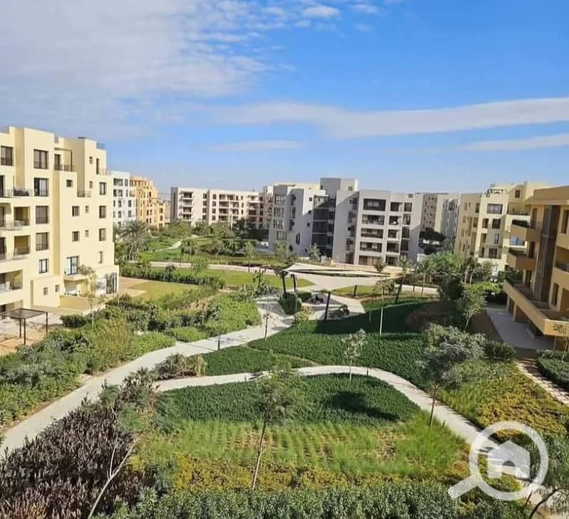 3 WhatsApp Image 2026-02-01 at 3.48. 56 PM. jpeg