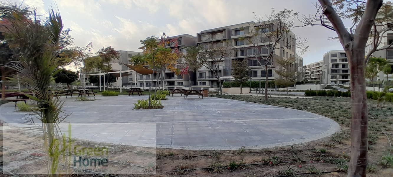 13 20260109_162347. jpg