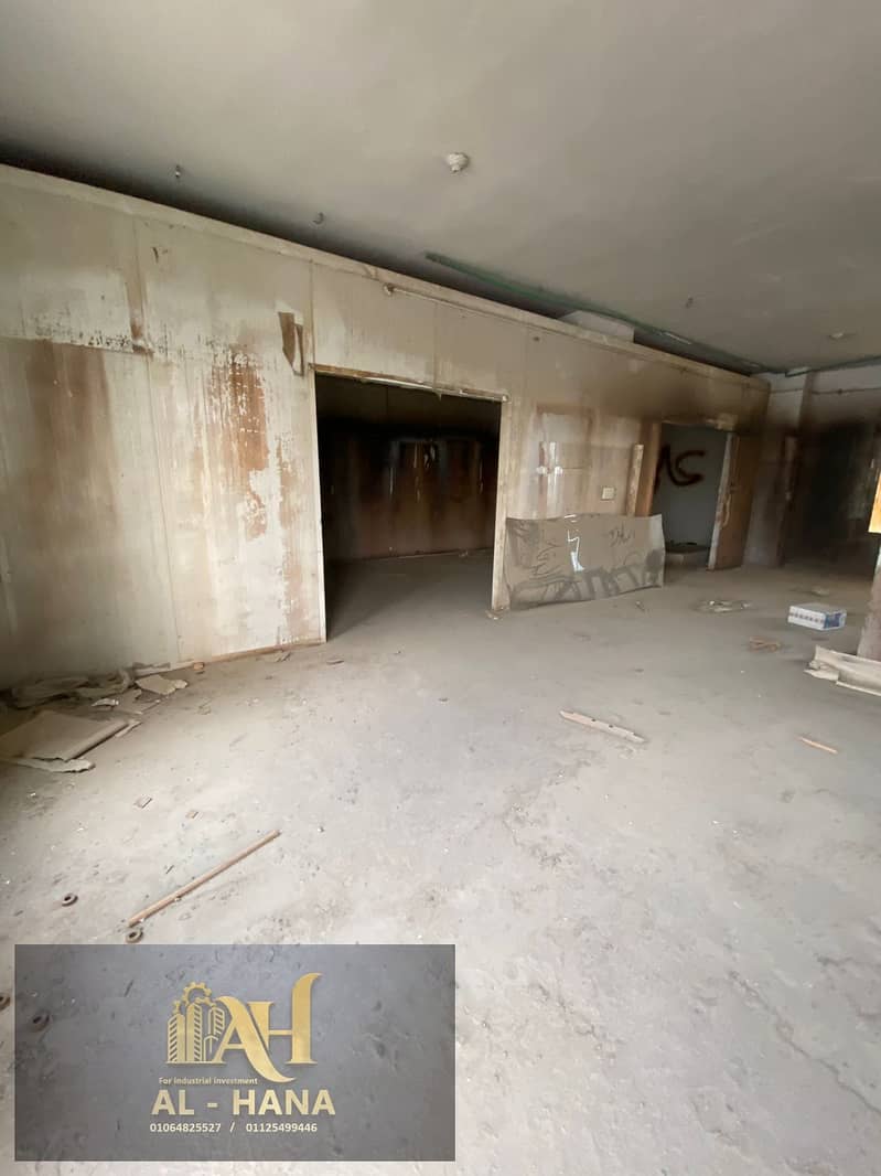 8 WhatsApp Image 2026-02-01 at 4.07. 57 PM (6). jpeg