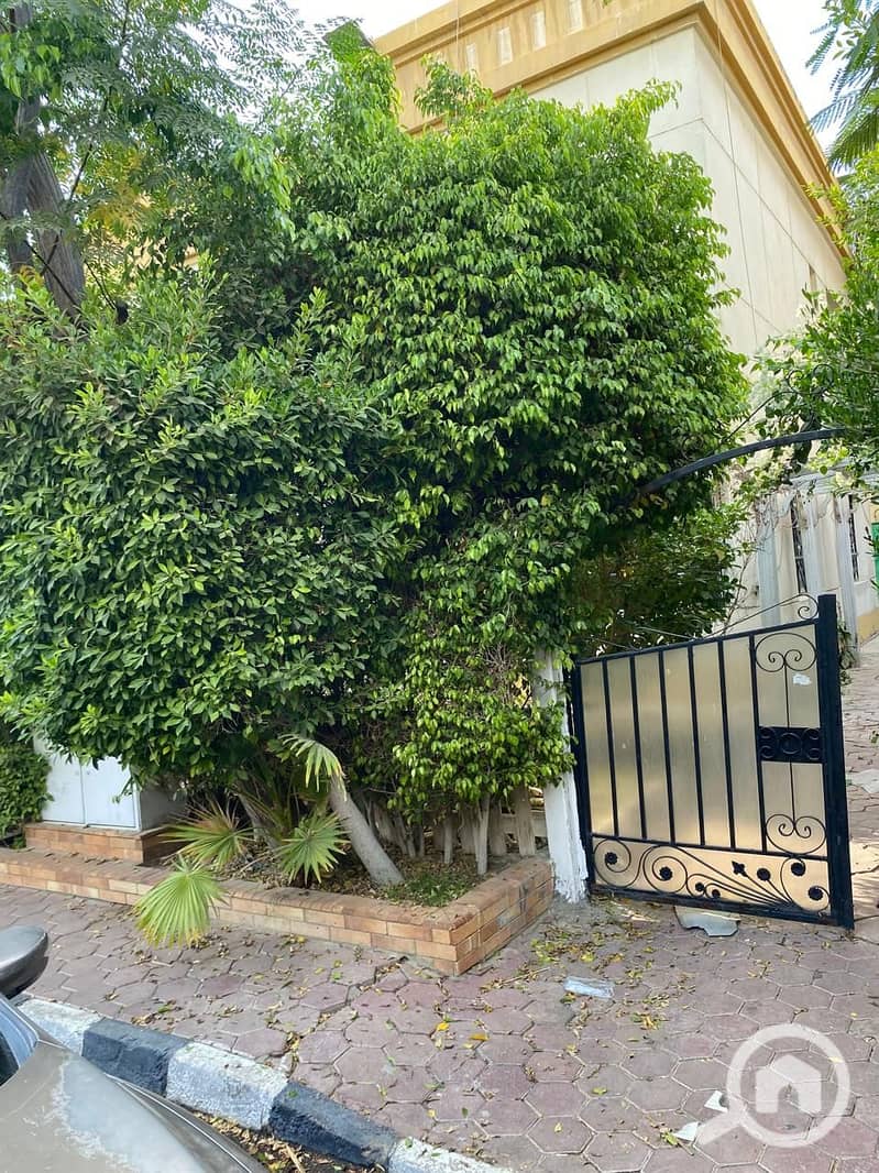 6 WhatsApp Image 2025-10-03 at 4.06. 58 PM (4). jpeg