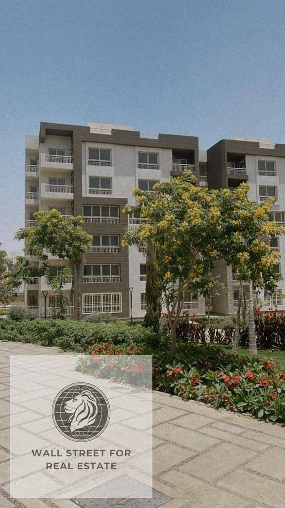 6 587119476_2698998030449193_9160008980296819585_n. jpg