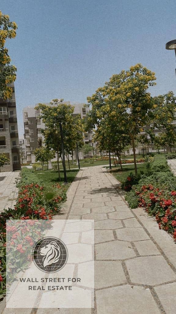 8 587121282_2698997963782533_6421020291293956126_n. jpg