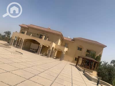 11 Bedroom Villa for Sale in 6th of October, Giza - WhatsApp Image 2026-02-01 at 12.44. 58 PM. jpeg