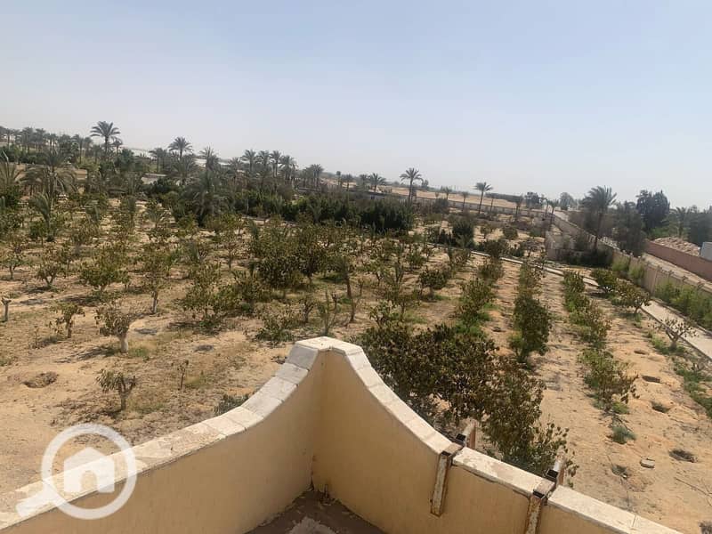 2 WhatsApp Image 2026-02-01 at 12.44. 57 PM. jpeg