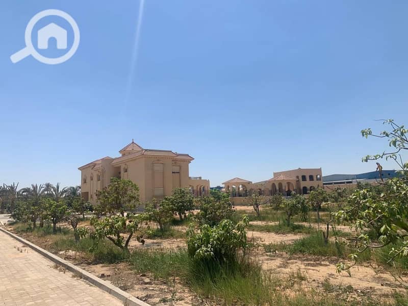 6 WhatsApp Image 2026-02-01 at 12.44. 55 PM. jpeg