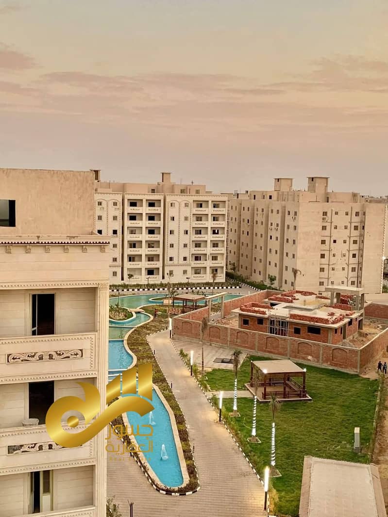 6 021dd989-c3cd-45eb-81f0-ba1eb336ec1a. jpg