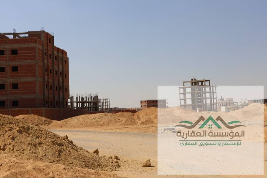 3 Whatbncvbnxbds5et5. jpeg