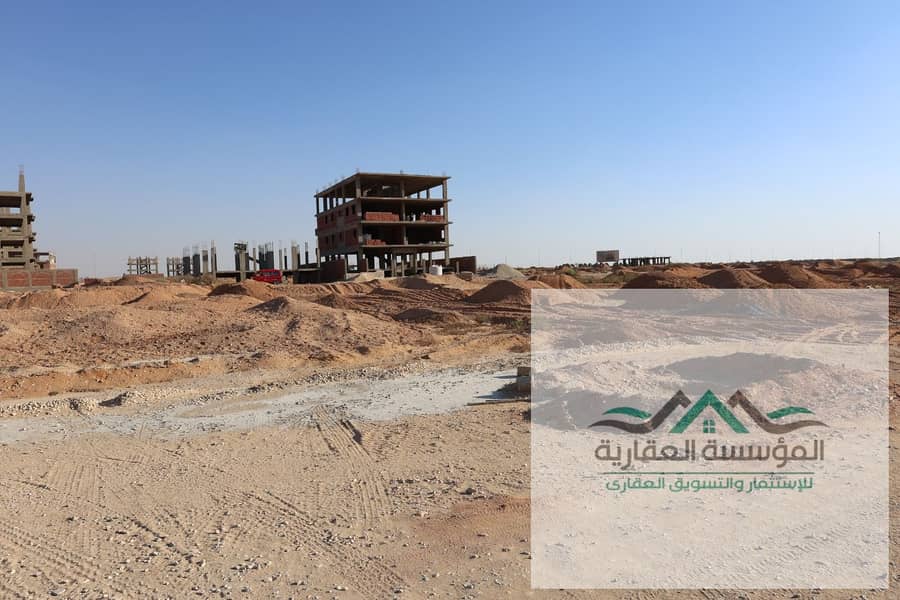 12 WhatsApp Image 2026-01-31 at 1.15. 47 PM8678768768678. jpeg