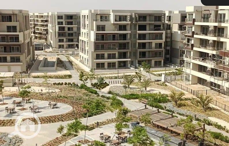 12 Screenshot_9. jpg