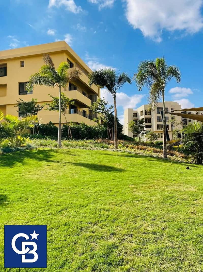 12 616274589_3423348261145736_4119696687384939724_n. jpg