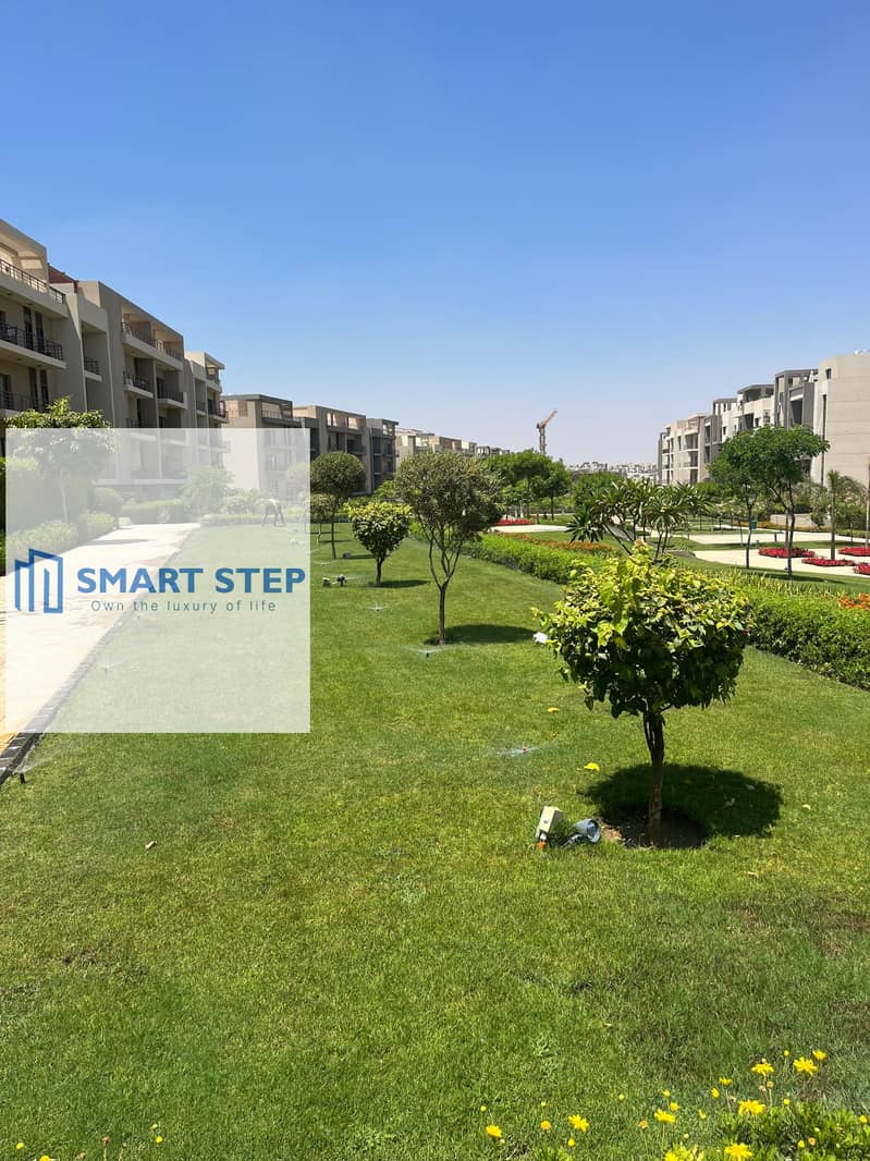 7 297021ea-7242-498e-bf7f-202463464181. jpg