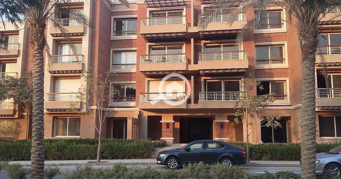 5 new-giza - Copy - Copy - Copy - Copy. jpg