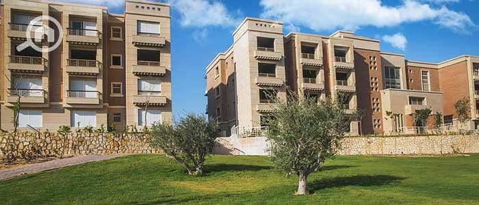 6 new-giza - Copy - Copy - Copy (2). jpg