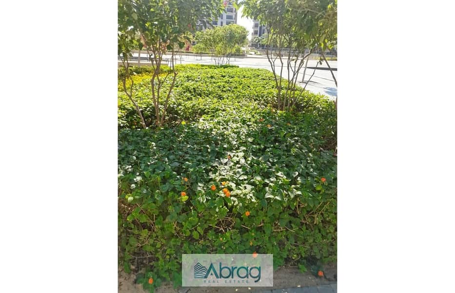 8 ead13b36-f4c4-47e3-9ea0-abce0ca8742a. jpg