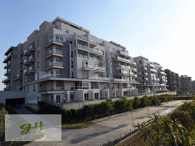 3 WhatsApp Image 2023-04-19 at 11.25. 13 AM. jpeg