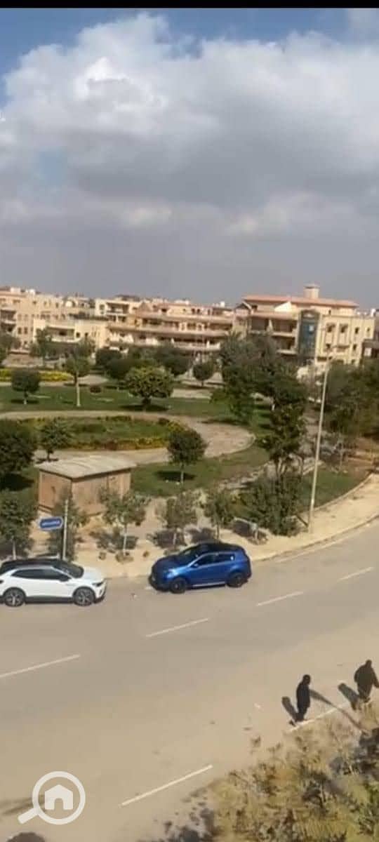 12 c1557505-e30d-46c2-a302-f464e956d3be. jpeg