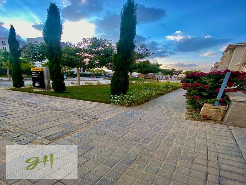 3 WhatsApp Image 2026-01-31 at 15.57. 47. jpeg