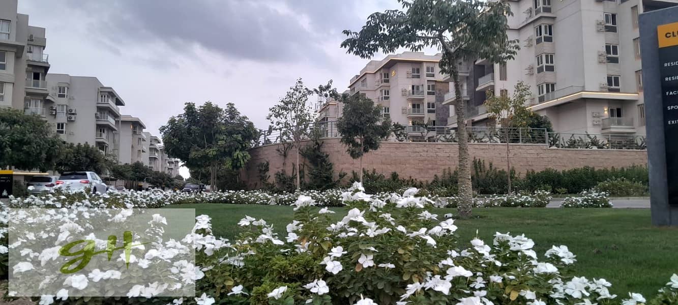 15 WhatsApp Image 2026-01-31 at 15.58. 03. jpeg