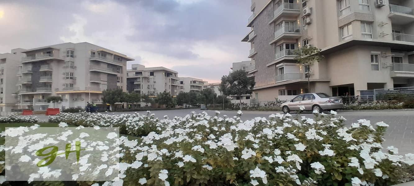 16 WhatsApp Image 2026-01-31 at 15.58. 04 (1). jpeg