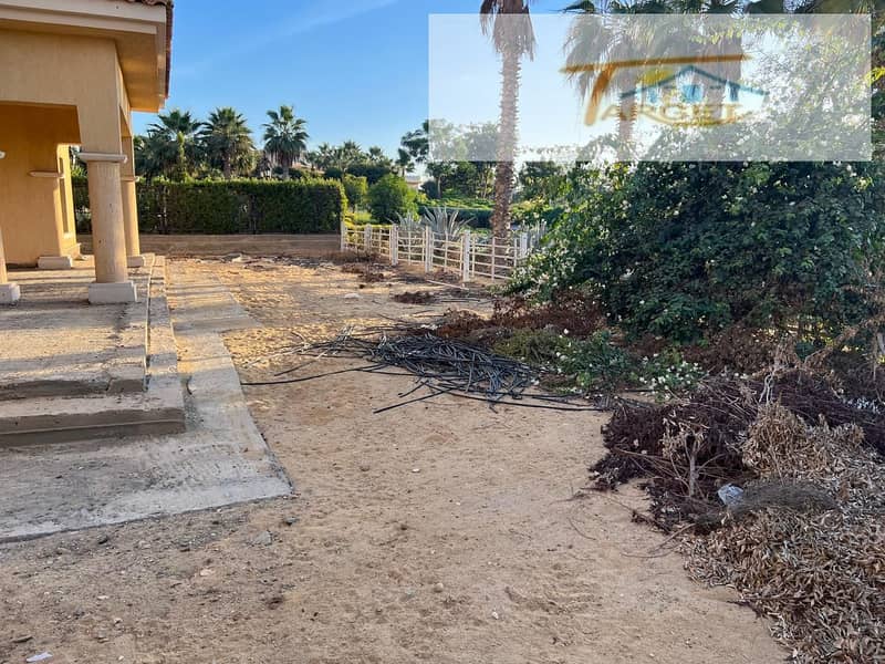 7 6c4bff43-3d94-43ac-a052-bed764e33aec. jpg