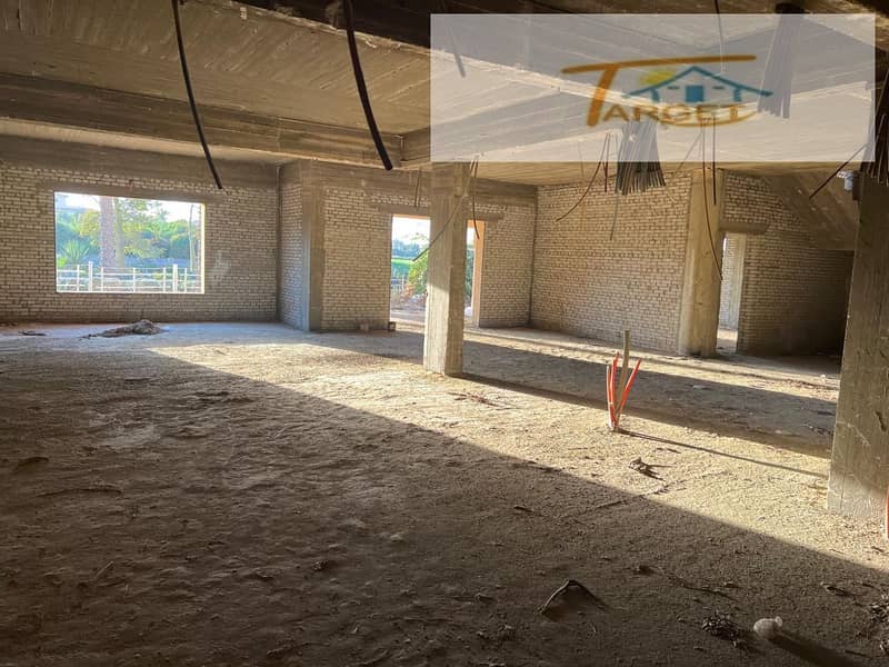 19 fe094119-dab9-4ed0-a300-693164f76697. jpg