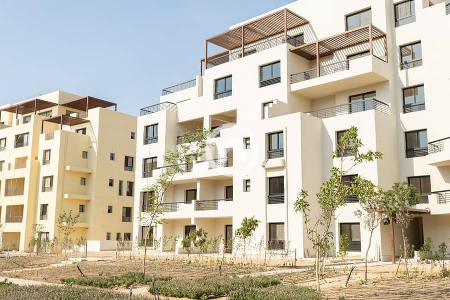 10 WhatsApp Image 2024-12-16 at 1.03. 41 PM. jpeg