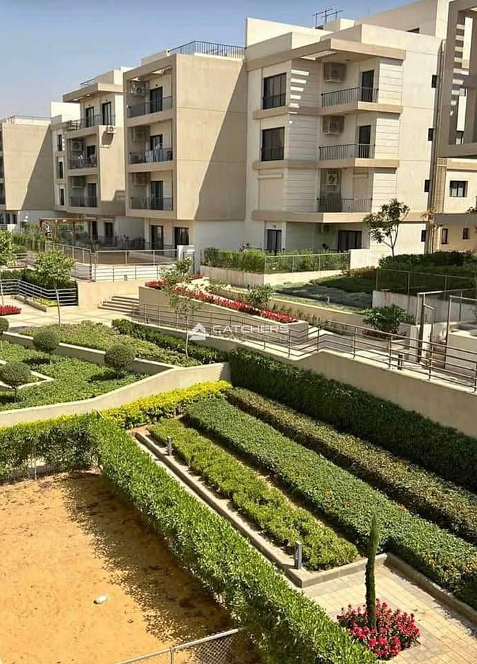 10 565722193_1865117424441859_6872395911406164598_n. jpg